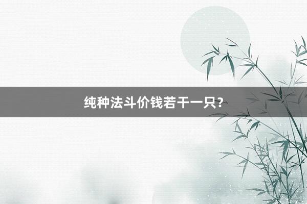 纯种法斗价钱若干一只？